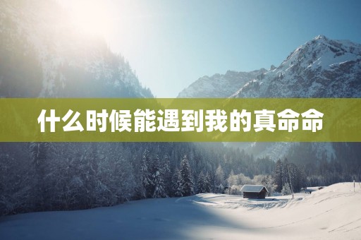 什么时候能遇到我的真命命