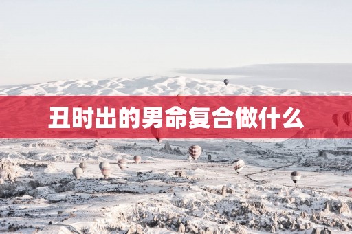 丑时出的男命复合做什么