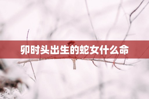卯时头出生的蛇女什么命