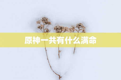 原神一共有什么满命