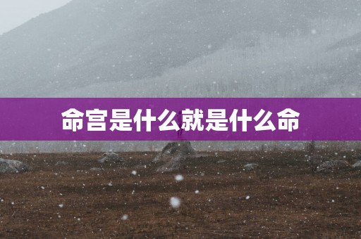 命宫是什么就是什么命
