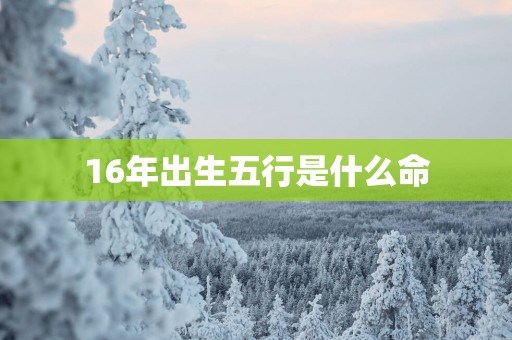 16年出生五行是什么命