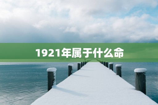 1921年属于什么命