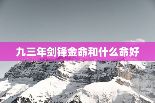 九三年剑锋金命和什么命好