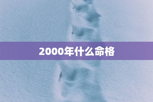 2000年什么命格