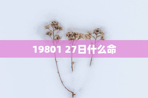 19801 27日什么命