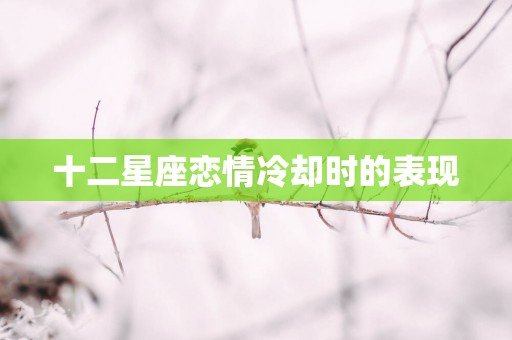 十二星座恋情冷却时的表现