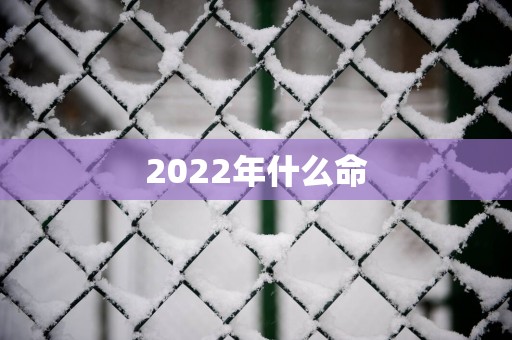 2025年什么命