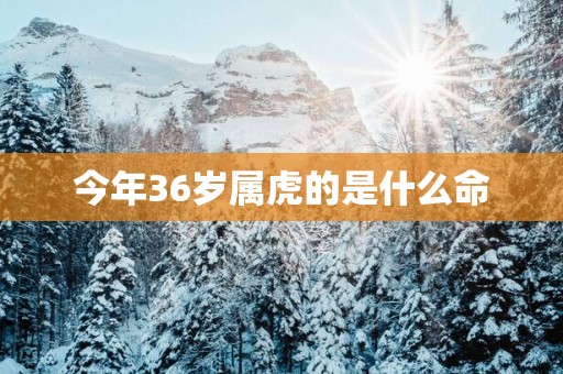 今年36岁属虎的是什么命