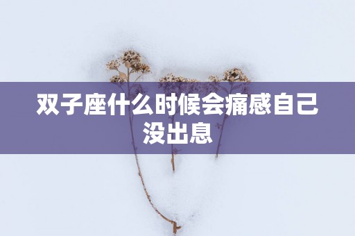 双子座什么时候会痛感自己没出息