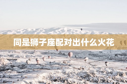 同是狮子座配对出什么火花