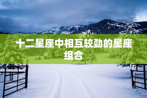 十二星座中相互较劲的星座组合