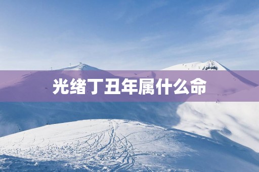 光绪丁丑年属什么命