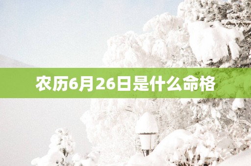 农历6月26日是什么命格