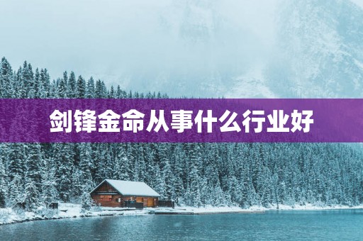 剑锋金命从事什么行业好