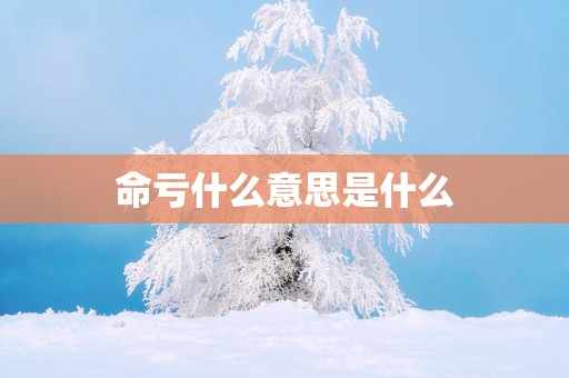 命亏什么意思是什么