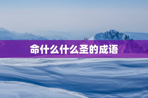 命什么什么圣的成语