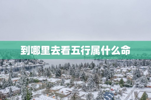 到哪里去看五行属什么命