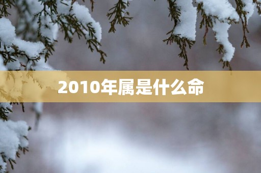 2010年属是什么命