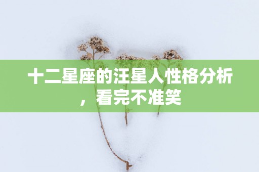 十二星座的汪星人性格分析，看完不准笑