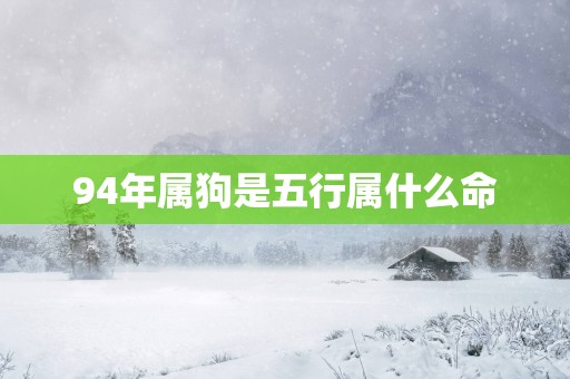 94年属狗是五行属什么命