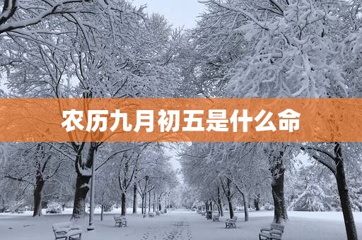 农历九月初五是什么命