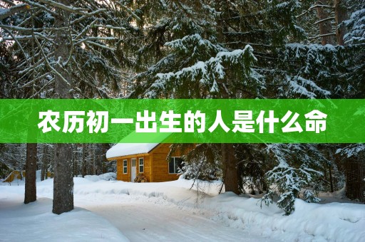 农历初一出生的人是什么命
