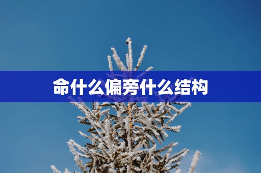 命什么偏旁什么结构