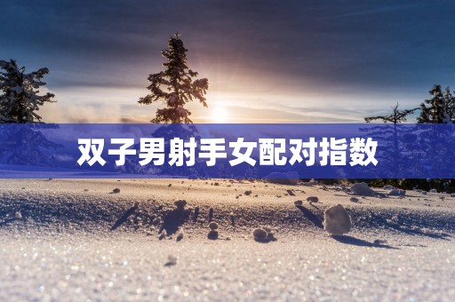 双子男射手女配对指数
