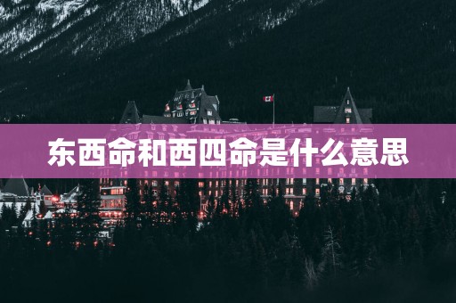 东西命和西四命是什么意思