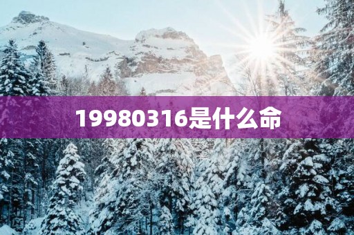 19980316是什么命
