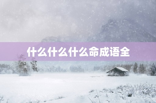 什么什么什么命成语全