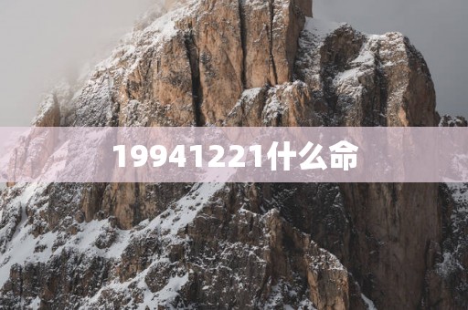19941221什么命