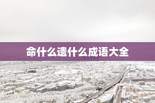 命什么遗什么成语大全