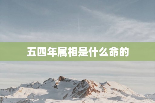 五四年属相是什么命的