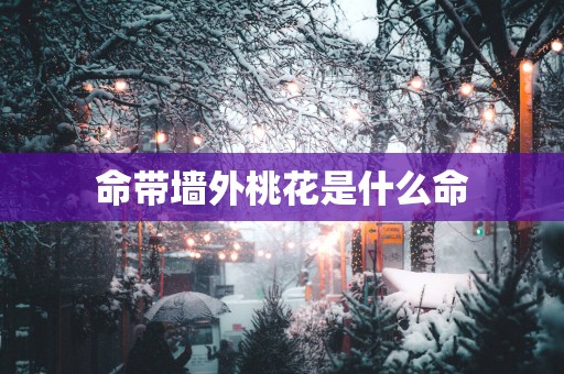 命带墙外桃花是什么命