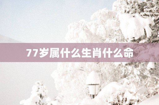 77岁属什么生肖什么命