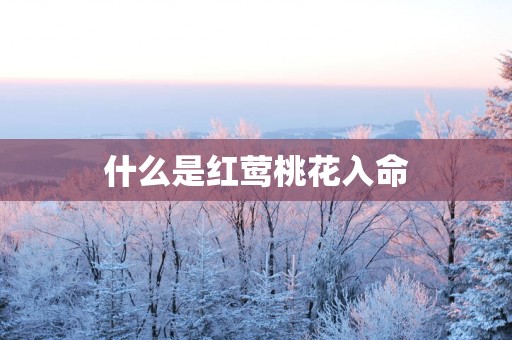 什么是红莺桃花入命