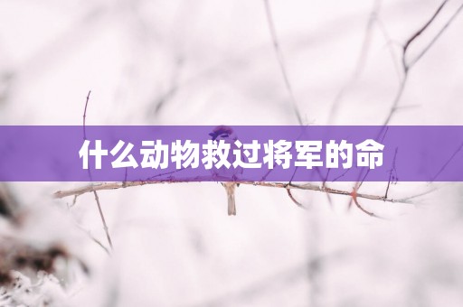 什么动物救过将军的命