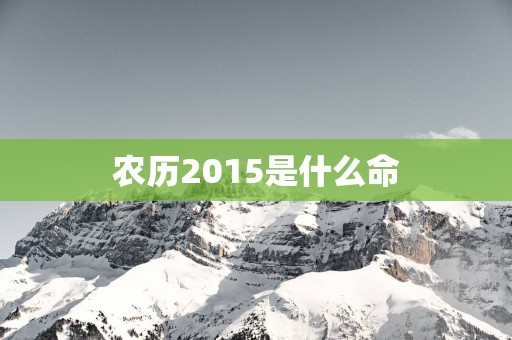 农历2015是什么命