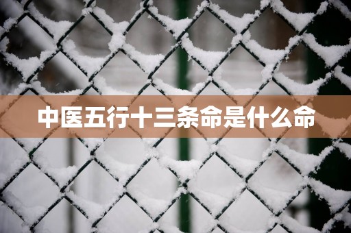中医五行十三条命是什么命