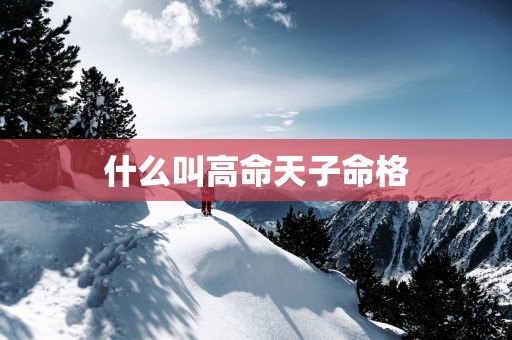 什么叫高命天子命格