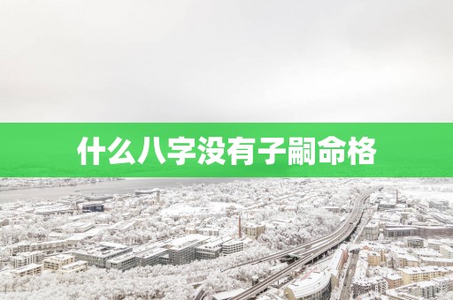 什么八字没有子嗣命格