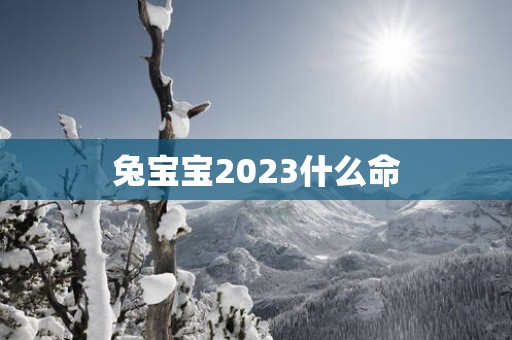 兔宝宝2025什么命