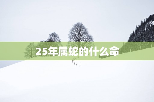 25年属蛇的什么命