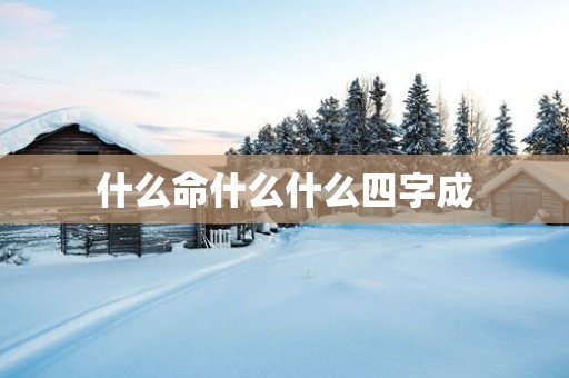 什么命什么什么四字成