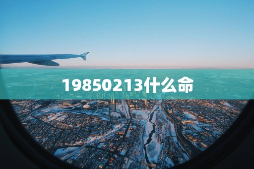 19850213什么命