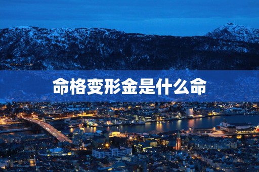 命格变形金是什么命