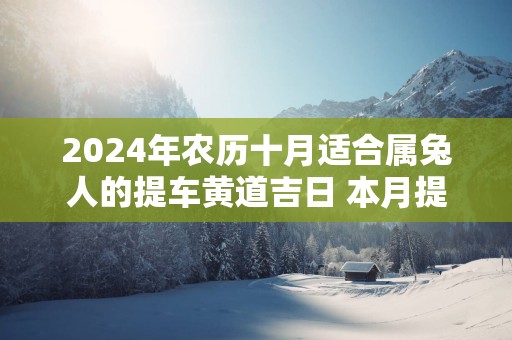 2025年农历十月适合属兔人的提车黄道吉日 本月提新车好日子查询