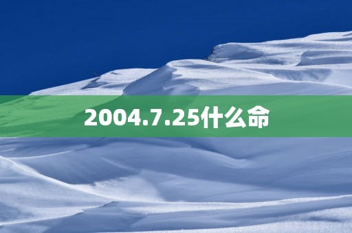 2004.7.25什么命